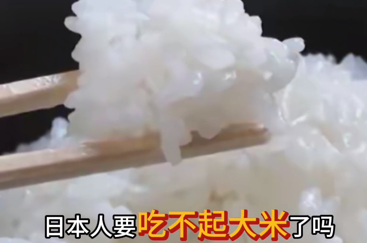 日本米价狂飙一斤接近20元！