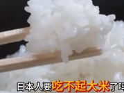 日本米价狂飙一斤接近20元！