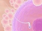 排卵期是什么？原来这就是排卵期啊！